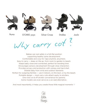 Carry Cot ใครว่าไม่สำคัญ