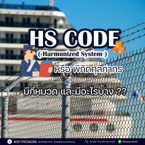 What is HS CODE or customs coordinates? How many categories are there? What are they?