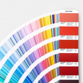 Your color, Our expert