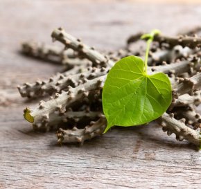 บอระเพ็ด: ลดการอักเสบหนังศีรษะและช่วยดูแลผมร่วง