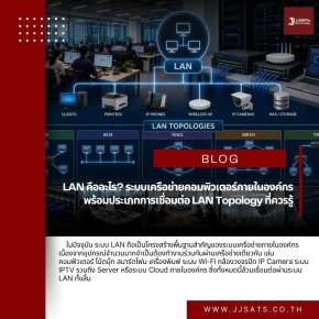 What is LAN? Internal Computer Networks for Organizations and LAN Topologies You Should Know