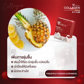 Pineapple powder(Ceramide) 