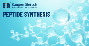 Peptide Synthesis