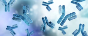 ความแตกต่างระหว่าง Polyclonal และ Monoclonal antibody