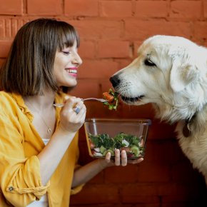 Who is for Holistic Pet Food?