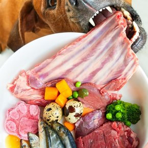 Protein Diversity คืออะไร? ทำไมสำคัญกว่าปริมาณโปรตีน