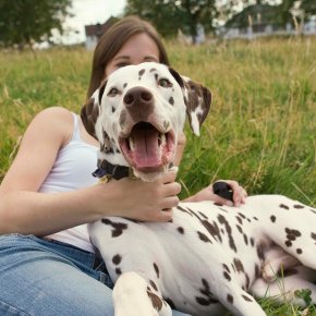 Research Shows Owners Mental Health Reflects Pets Emotional Well Being