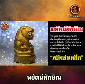 พยัคฆ์ทักษิณ