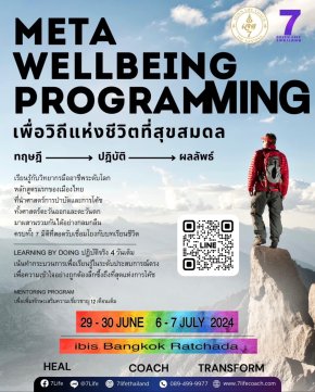  Meta Wellbeing Programming