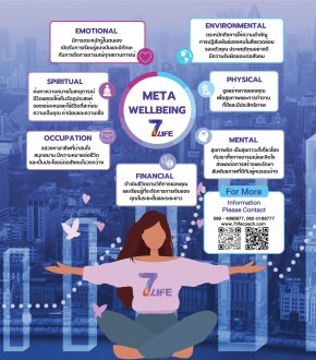 META WELLBEING PROGRAMMING