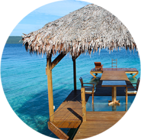 Aliquam congue fer mentum nisl.Lorem ipsum dolor