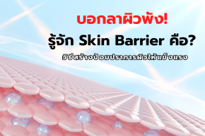 Skin Barrier