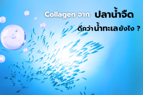 Collagen