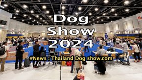 Doh show2004