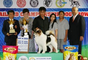 THAILAND CHAMPIONSHIP DOG SHOW 2010