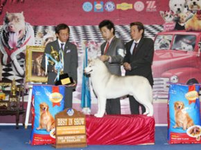 Bangkok Grand Dog Show 2011