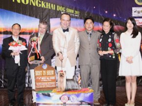 NONGKHAI Dog Show 2012(AB1)