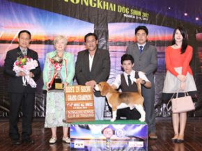 NONGKHAI Dog Show 2012(AB4)