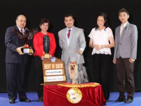 Terrier Club Of Thailand Championship Dog Show(AB3)