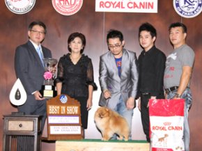 The Mall Toy Dog Championship Show 2/2012(AB3)