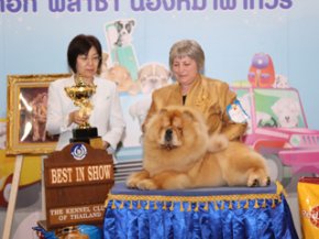 Thailand International Dog Show 2012(AB4 AKU)