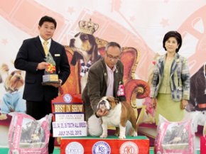 The Mall-Eukanuba World Challenge International Championship Dog Show 2012(AB3)