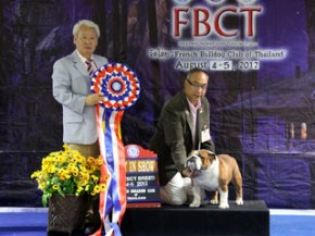 FBCT Championship Show 2/2012(AB1)