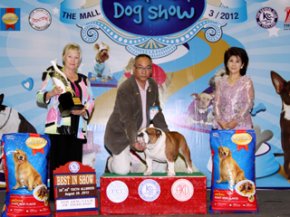 The Mall Championship Dog Show 3/2012(AB4)