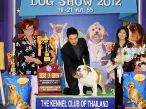 Bangkok Grand Dog Show 2012(AB3)