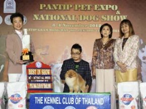PANTIP PET EXPO & NATIONAL DOG SHOW 2012(AB3)