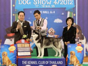 The Mall Championship Dog Show 4/2012(AB2)