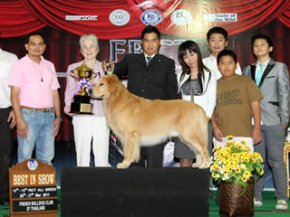 FBCT Championship Dog Show 1/2011(AB4)