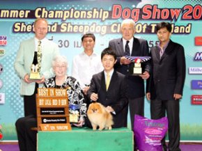Summer Championship Dog Show 2011(AB4)