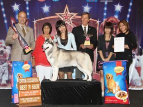 THE MALL FCI INTERNATIONAL CHAMPIONSHIP DOG SHOW 1/2011 (AB4)