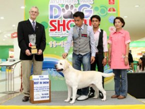 Ayutthaya Park Dog show 2011(AB3)