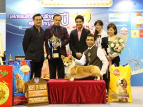 THAILAND INTERNATIONAL DOG SHOW 2011(AB4)