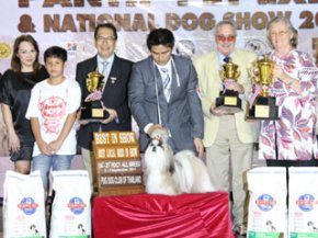 PANTIP PET EXPO & NATIONAL DOG SHOW 2011 (AB4)
