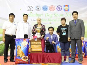 Suphanburi Dog Show 2011(AB3)