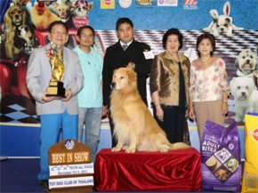 TOY DOG CLUB CHAMPIONSHIP DOG SHOW 2011(AB1)