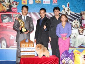 Toy Dog Club Championship Dog Show 5/2011(AB3)