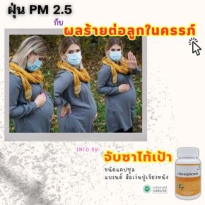 คุณแม่ตั้งครรภ์รับมือฝุ่น PM2.5 อย่างไร