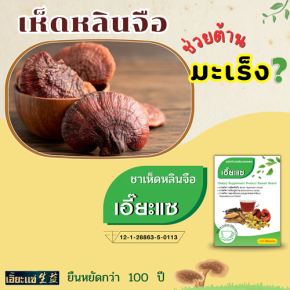 เห็ดหลินจือ 灵芝  