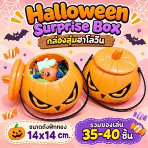 Halloween surprise box กล่องสุ่มฮาโลวีน(TOY582)