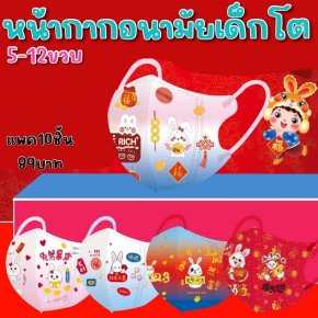 Mask Big kids 3D ลาย Chinese 
