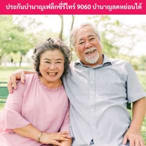 บำนาญเฟล็กซี่รีไทร์9060