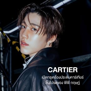 CARTIER pp.kritt