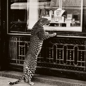 CARTIER AND PANTHÈRE