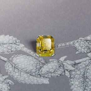 CHAUMET Jewels by Nature