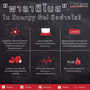  "พาลาติโนส" คืออะไร? ทำไมถึงมาอยู่ใน Energy Gel ?