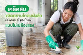เคล็ดลับขจัดคราบโคลนฝังลึกและกลิ่นอับชื้นหลังน้ำลด แบบไม่เปลืองแรง